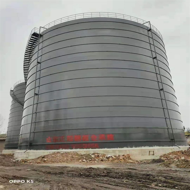 东坡3万吨大型钢板库