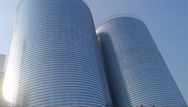 东坡2座混凝土高架卷板仓